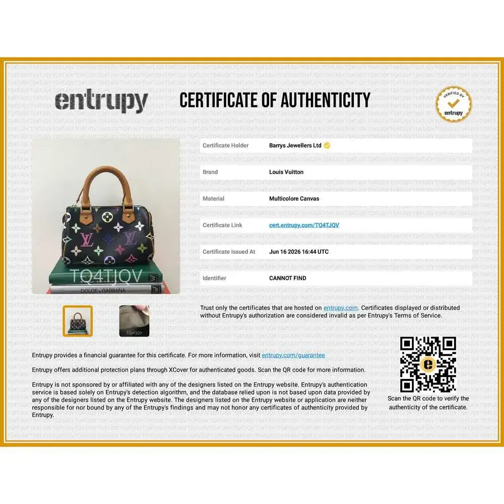 Monogram Multicolour Black Mini Sac HL Speedy Handbag